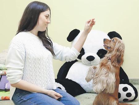 Visiting the "Yellow Dog", children forget about diseases